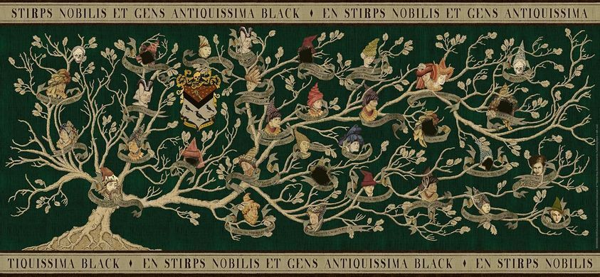 Пазл Ravensburger Panorama Harry Potter Family Tree 2000 шт. (17299)