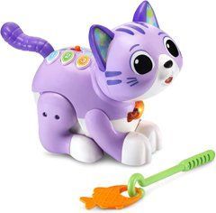 Інтерактивна іграшка VTech Purr and Play Zippy Kitty Англ. мова (80-539200)