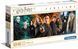 Пазл Clementoni Harry Potter Panorama Гарри Поттер 1000 шт. (61883)