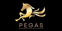 Інтернет-магазин "Pegas"