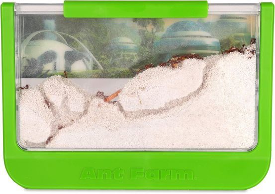 Мурашина ферма Uncle Milton Ant Farm - STEM (0041)