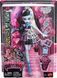 Лялька Монстер Хай Monster High Frankie Stein Scary Sweet Birthday: чорна святкова сукня (JBG75)