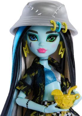 Лялька Монстер Хай Monster High Scare-adise Island Heath Frankie Stein Френкі Штейн (HRP68)