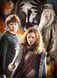 Набір Пазл Clementonі Harry Potter Гаррі Поттер 3 x 1000 шт. (61884)
