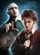 Набір Пазл Clementonі Harry Potter Гаррі Поттер 3 x 1000 шт. (61884)