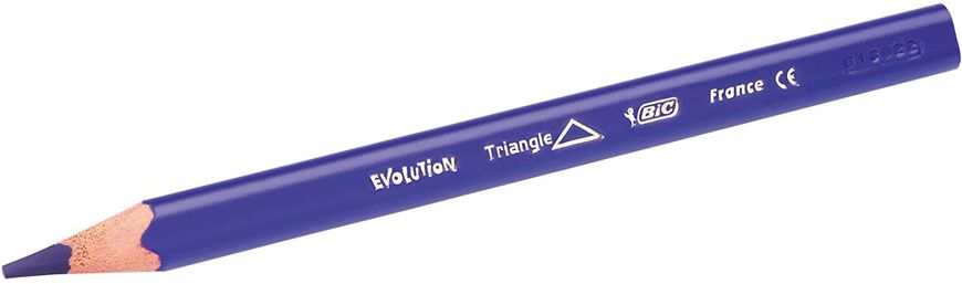 Цветные карандаши BIC Kids Evolution ECOlutions Triangular Colouring Pencils 48 шт. (8297361)