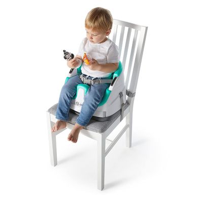 Стульчик бустер для кормления Baby Einstein's Dine and Discover Baby-to-Toddler 2-in-1 Seat - Booster Feeding (‎12649)