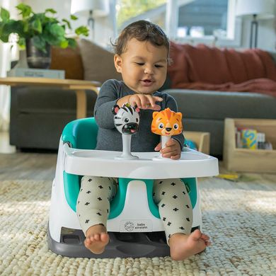 Стільчик бустер для годування Baby Einstein's Dine and Discover Baby-to-Toddler 2-in-1 Seat - Booster Feeding (12649)