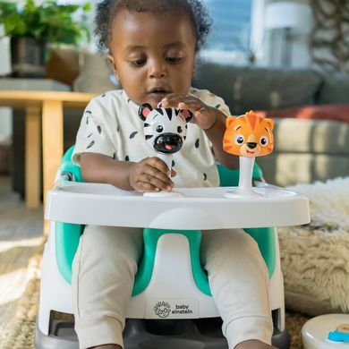 Стульчик бустер для кормления Baby Einstein's Dine and Discover Baby-to-Toddler 2-in-1 Seat - Booster Feeding (‎12649)