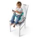 Стільчик бустер для годування Baby Einstein's Dine and Discover Baby-to-Toddler 2-in-1 Seat - Booster Feeding (12649)