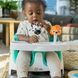 Стульчик бустер для кормления Baby Einstein's Dine and Discover Baby-to-Toddler 2-in-1 Seat - Booster Feeding (‎12649)