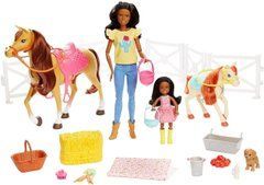 Игровой набор Barbie Hugs N Horses Playset, Brunette (GLL82)