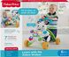 Інтерактивні ходунки Зебра Fisher-Price Learn with Me Zebra Walker зі звуковими ефектами (DKH80)