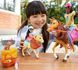Игровой набор Barbie Hugs N Horses Playset, Brunette (GLL82)