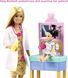 Кукла Барби Barbie I can be Pediatrician Theme Педиатр блондинка и аксессуары (GTN51)